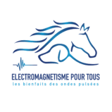 Logo d'Electromagnétisme pour tous