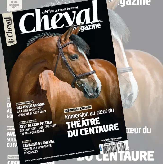 Cheval Mag sur l'Electromagnétisme